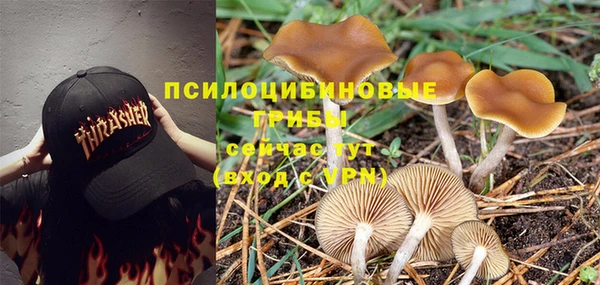стафф Зеленодольск