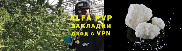 хмурый Зеленокумск