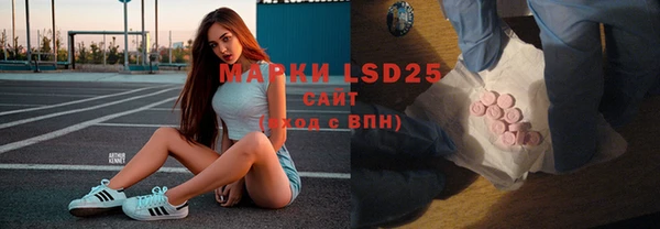 хмурый Зеленокумск
