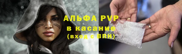 МДПВ Инсар