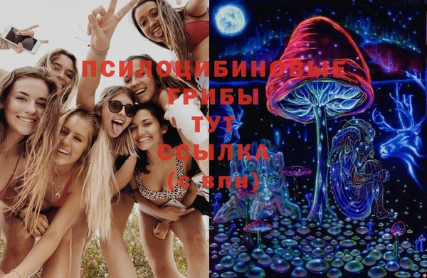 стафф Зеленодольск