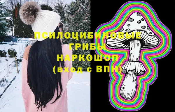 хмурый Зеленокумск