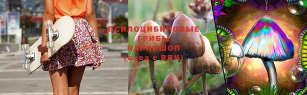 стафф Зеленодольск